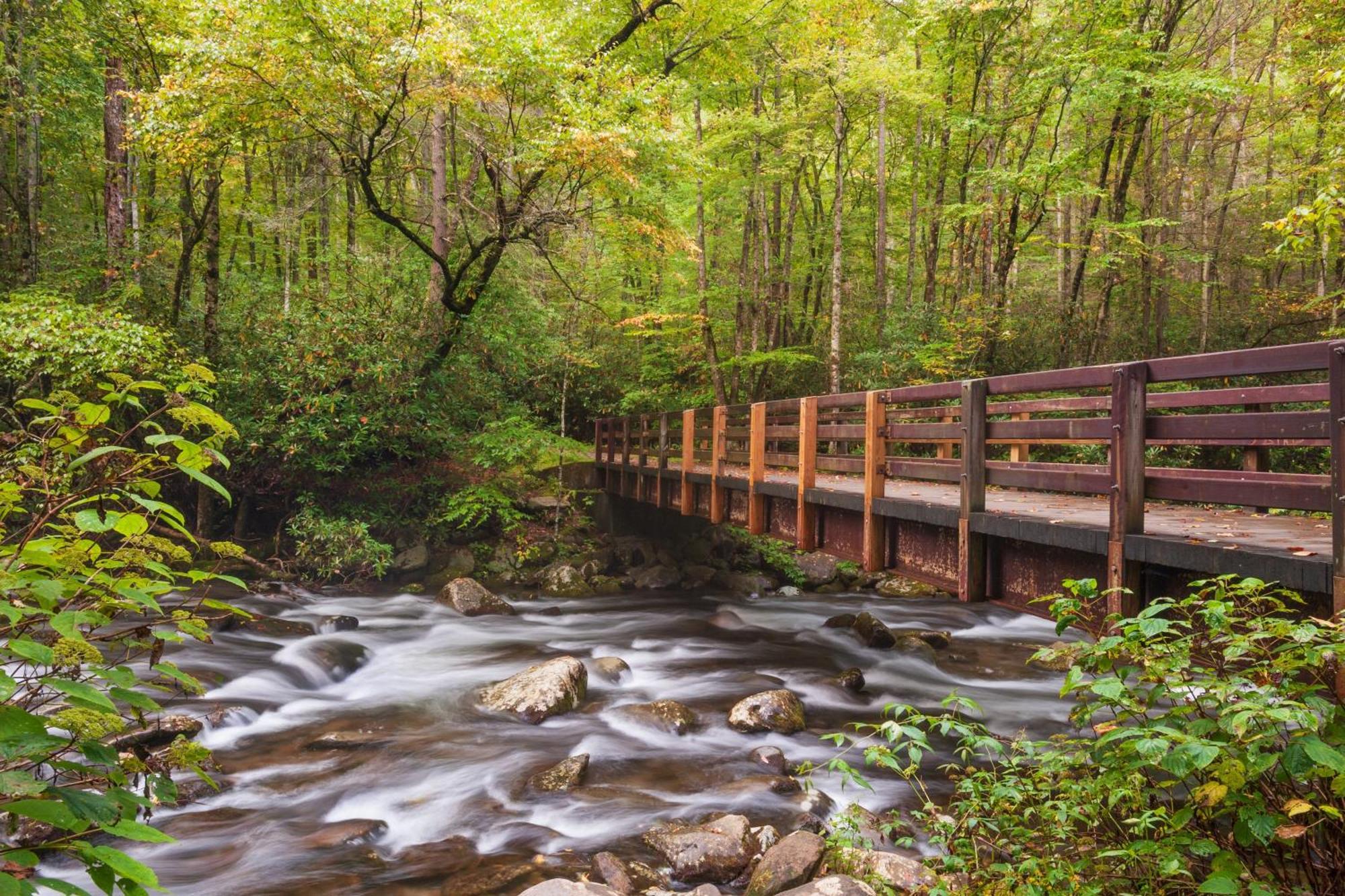 Papa Bear, Hot Tub, Wifi, 1089 Free Tickets Each Paid Day, Dollywood And More Sevierville Exterior foto